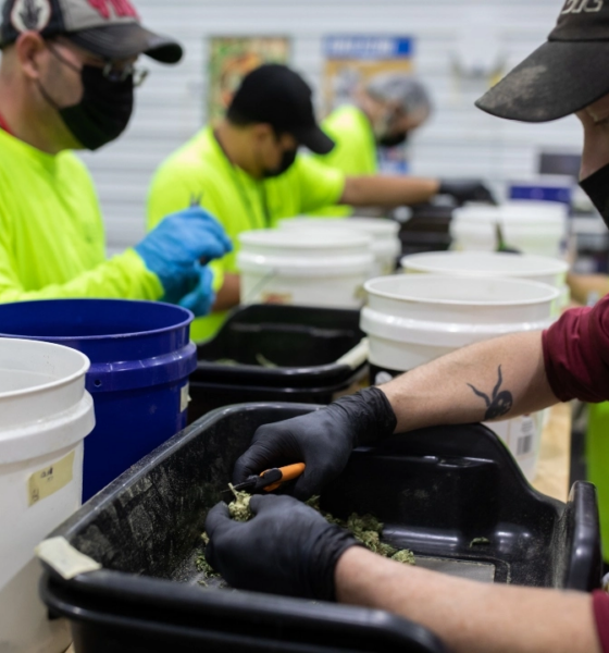 Marijuana Retail Report