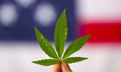 Marijuana Retail Report