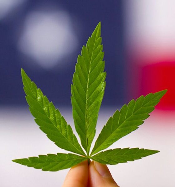 Marijuana Retail Report