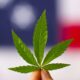 Marijuana Retail Report