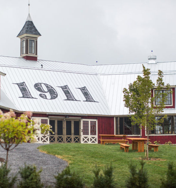 A New York Apple Orchard Bet The Farm On Cannabis