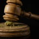 Anti-Rescheduling Parties Ask Court To Stay Schedule III Cannabis Order