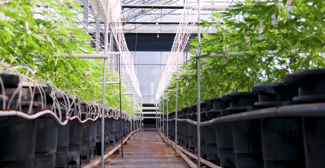 Glass House Intends To Become Second Company To Uplist