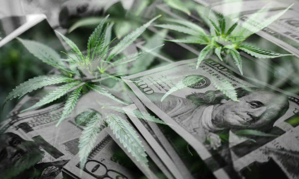 Industry Sentiment vs Reality - Could The Hemp Ban Be Extended?