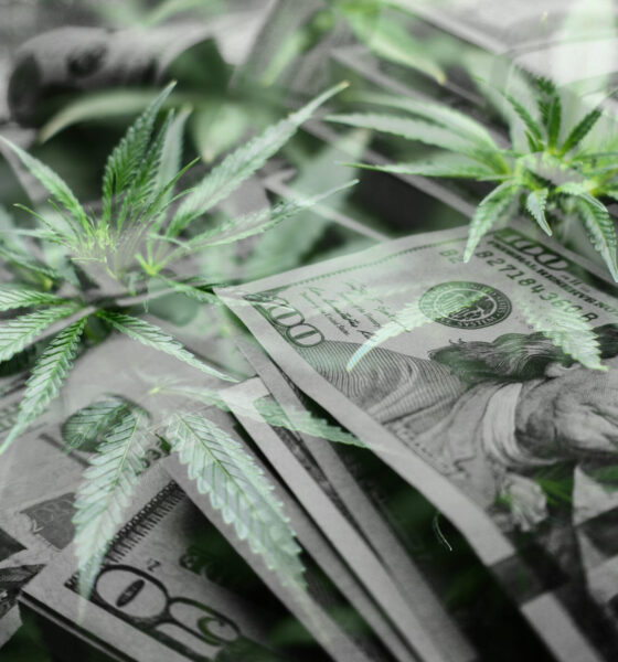Industry Sentiment vs Reality - Could The Hemp Ban Be Extended?