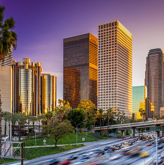 Los Angeles Votes to Raise Taxes on Unlicensed Cannabis Shops