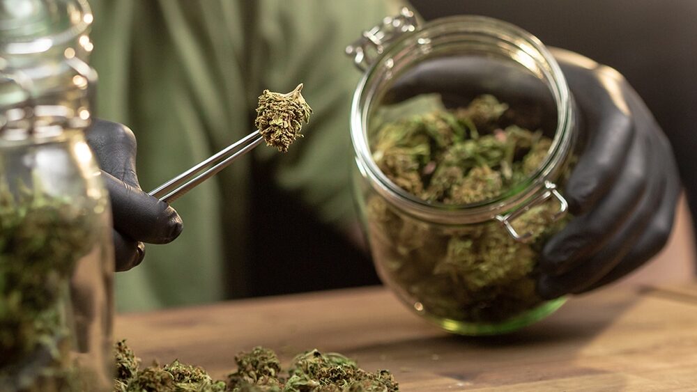 Massachusetts High Court Allows Ballot Measure to End Adult-Use Cannabis Sales to Proceed