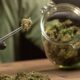 Massachusetts High Court Allows Ballot Measure to End Adult-Use Cannabis Sales to Proceed