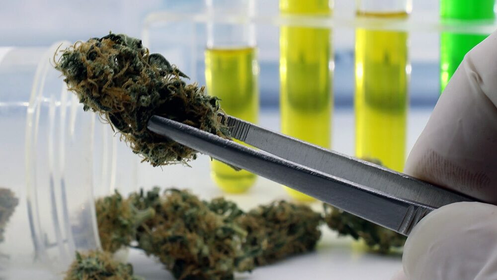 Minnesota Lab Closes Cannabis Testing Program Following License Suspension