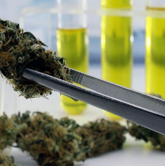 Minnesota Lab Closes Cannabis Testing Program Following License Suspension