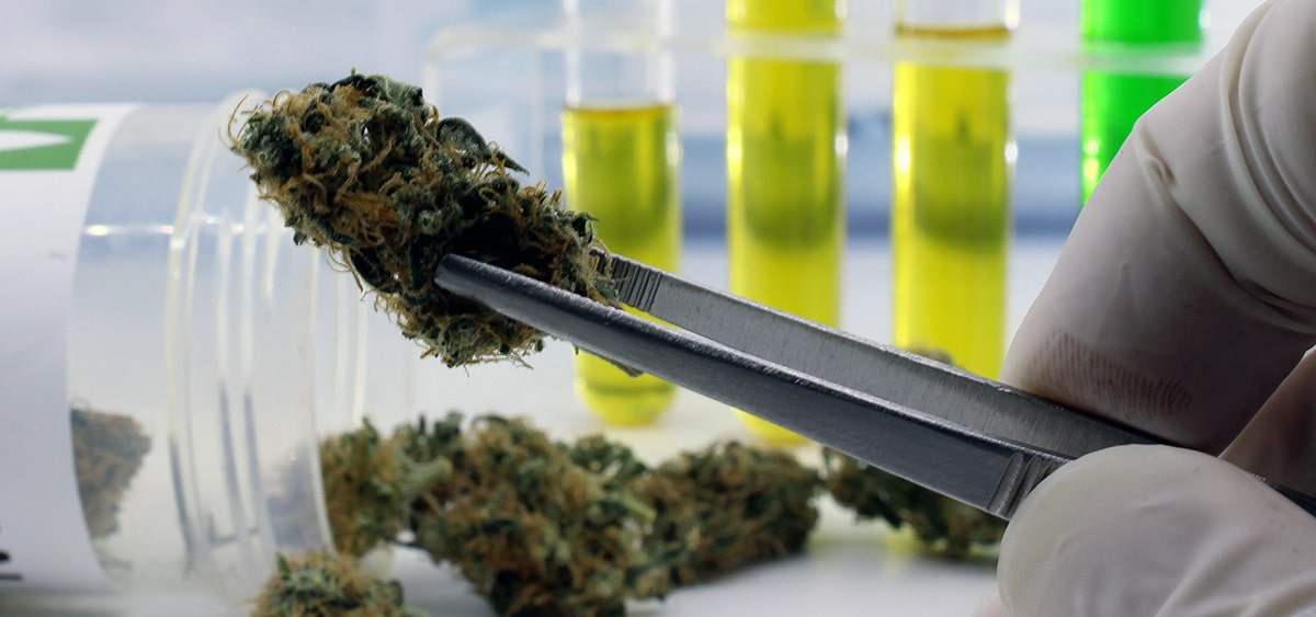 Minnesota Lab Closes Cannabis Testing Program Following License Suspension