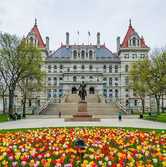 New York Lawmakers Pass Bill to Prevent Inversion of Illicit Cannabis into Legal Market 