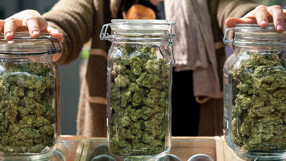 Report: Cannabis Industry Jobs Fell 2.7% Year-Over-Year