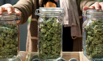 Report: Cannabis Industry Jobs Fell 2.7% Year-Over-Year