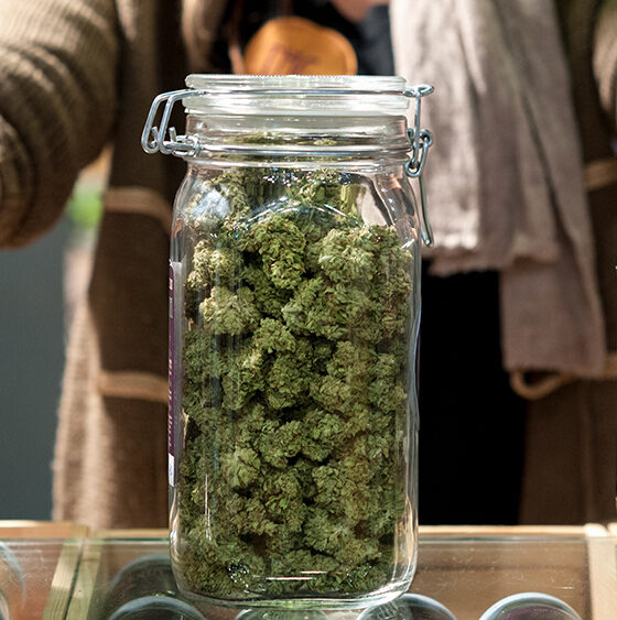Report: Cannabis Industry Jobs Fell 2.7% Year-Over-Year