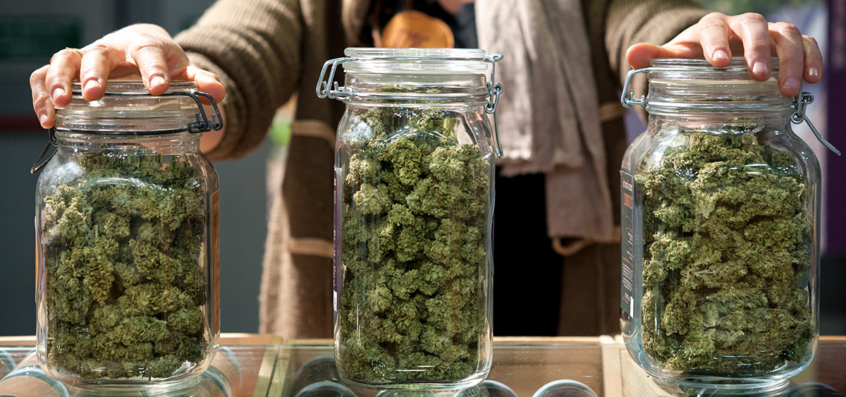 Report: Cannabis Industry Jobs Fell 2.7% Year-Over-Year