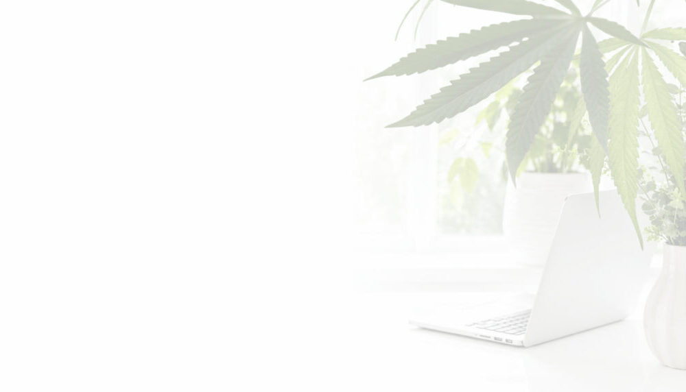 The Grassroots Press Revolution Has Arrived: Introducing the Green Press Collective