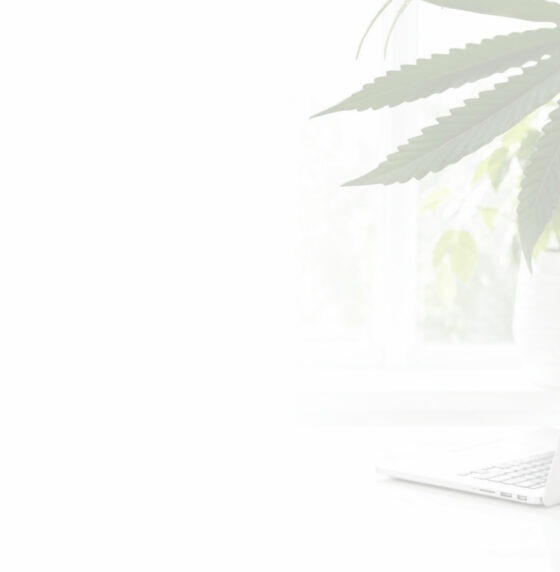 The Grassroots Press Revolution Has Arrived: Introducing the Green Press Collective