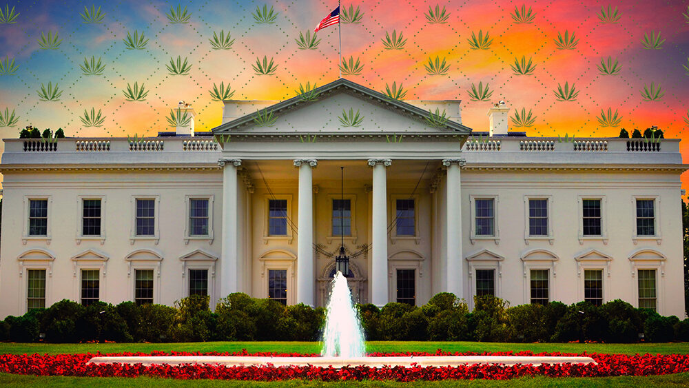 Trump Admin Asks Congress to Regulate Full-Spectrum Hemp Products or Delay Federal Crackdown