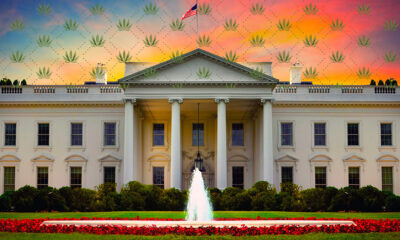 Trump Admin Asks Congress to Regulate Full-Spectrum Hemp Products or Delay Federal Crackdown