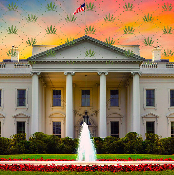 Trump Admin Asks Congress to Regulate Full-Spectrum Hemp Products or Delay Federal Crackdown