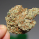 Marijuana Retail Report