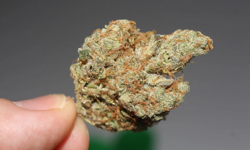 Marijuana Retail Report