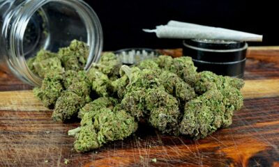 Marijuana Retail Report