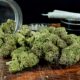 Marijuana Retail Report