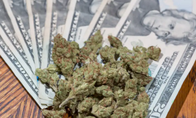 Marijuana Retail Report
