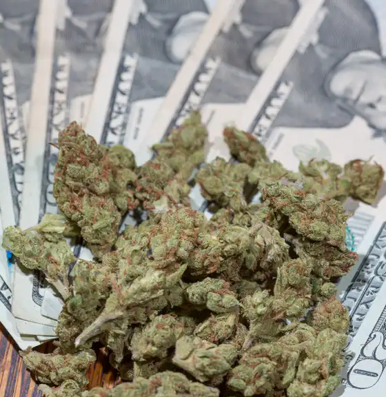Marijuana Retail Report