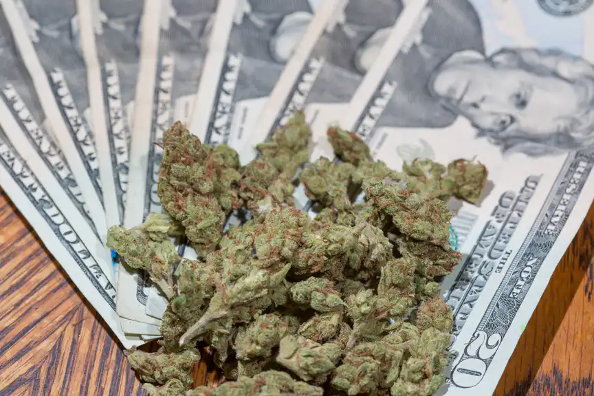 Marijuana Retail Report