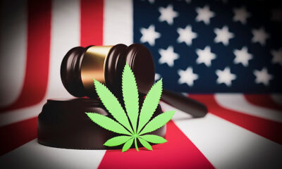 ALJ Hearing Day 2: What We Learned & What's Next