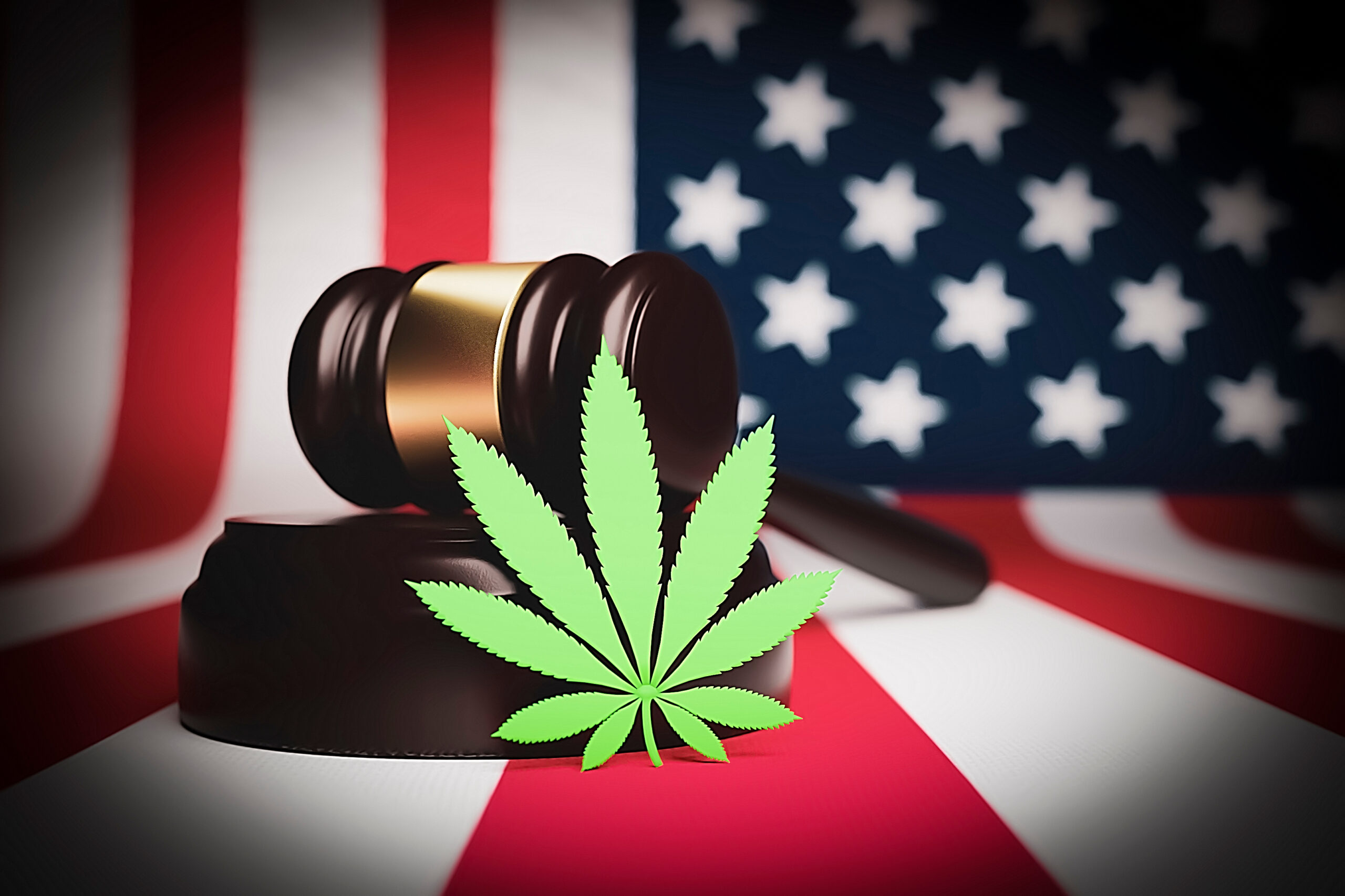 ALJ Hearing Day 2: What We Learned & What's Next