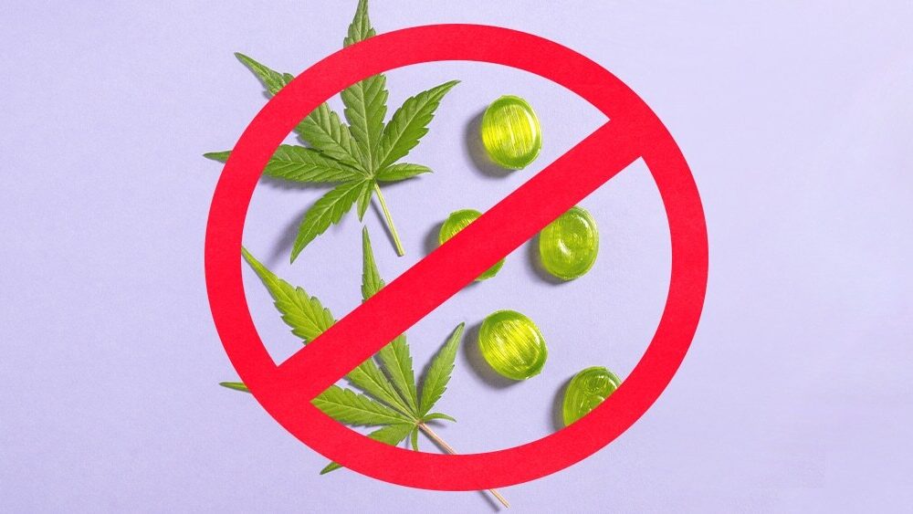 Massachusetts Cannabis Legalization Repeal Effort Qualifies for November Ballot