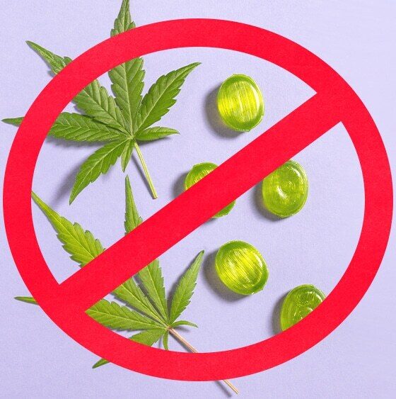 Massachusetts Cannabis Legalization Repeal Effort Qualifies for November Ballot
