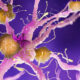 New Study Suggests THC and CBD Could Help Treat Agitation in Dementia Patients