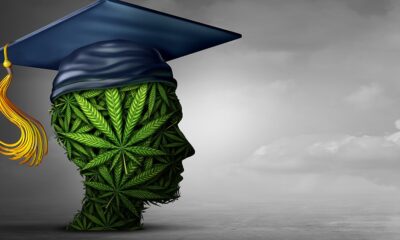 New York Launches Program to Educate Doctors About Cannabis