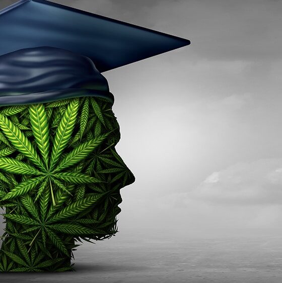 New York Launches Program to Educate Doctors About Cannabis