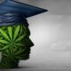 New York Launches Program to Educate Doctors About Cannabis