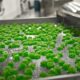 Ontario Cracks Down On Illegal Cannabis Landlords